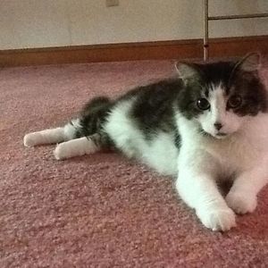 Meet your Posher, Barbara